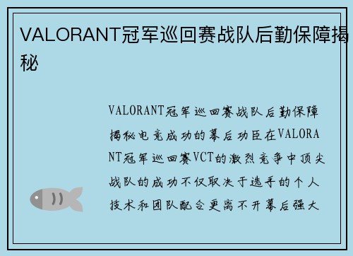 VALORANT冠军巡回赛战队后勤保障揭秘