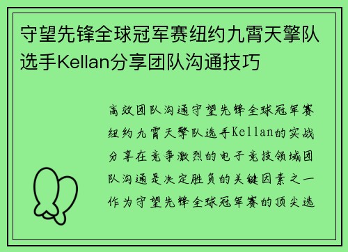 守望先锋全球冠军赛纽约九霄天擎队选手Kellan分享团队沟通技巧