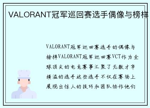 VALORANT冠军巡回赛选手偶像与榜样